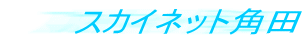 �X�J�C�l�b�g�p�c